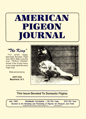 Click for larger image